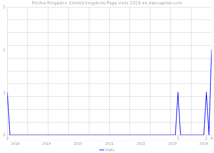 Ritchie Ringadoo (United Kingdom) Page visits 2024 