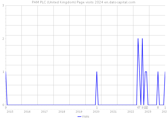 PAM PLC (United Kingdom) Page visits 2024 