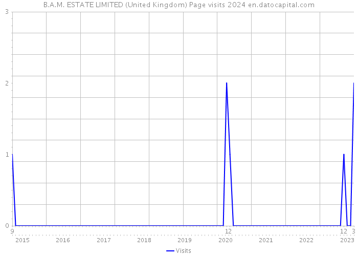 B.A.M. ESTATE LIMITED (United Kingdom) Page visits 2024 