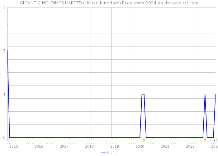 GIGANTIC HOLDINGS LIMITED (United Kingdom) Page visits 2024 