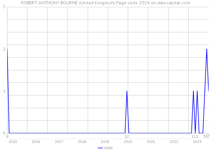 ROBERT ANTHONY BOURNE (United Kingdom) Page visits 2024 