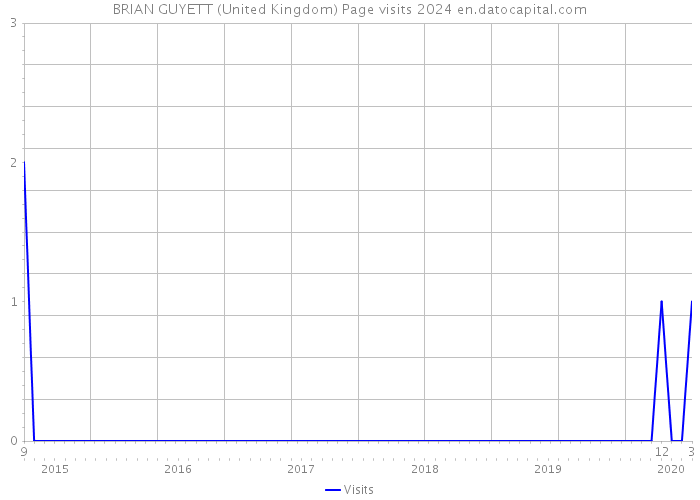 BRIAN GUYETT (United Kingdom) Page visits 2024 