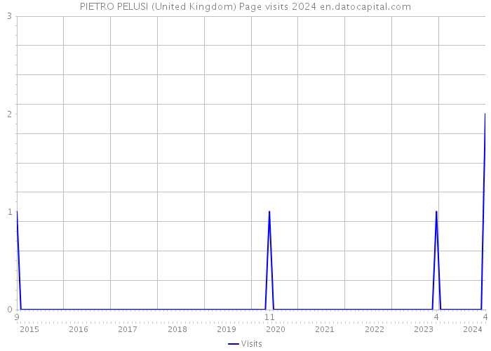 PIETRO PELUSI (United Kingdom) Page visits 2024 