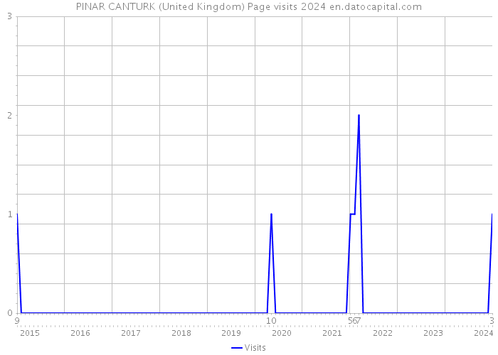 PINAR CANTURK (United Kingdom) Page visits 2024 
