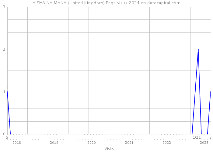 AISHA NAIMANA (United Kingdom) Page visits 2024 