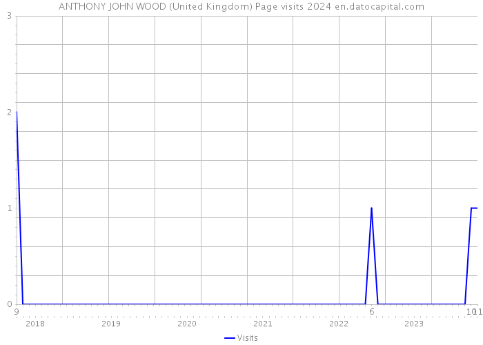 ANTHONY JOHN WOOD (United Kingdom) Page visits 2024 