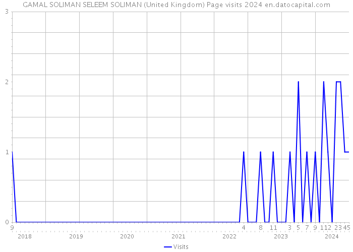 GAMAL SOLIMAN SELEEM SOLIMAN (United Kingdom) Page visits 2024 