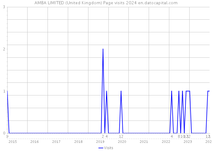 AMBA LIMITED (United Kingdom) Page visits 2024 