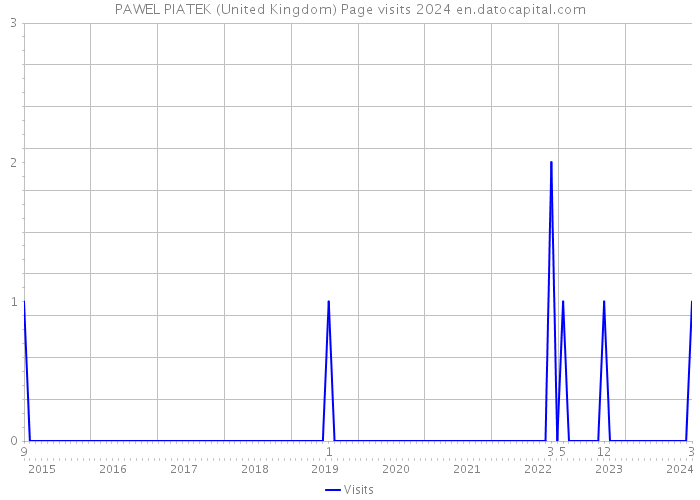 PAWEL PIATEK (United Kingdom) Page visits 2024 