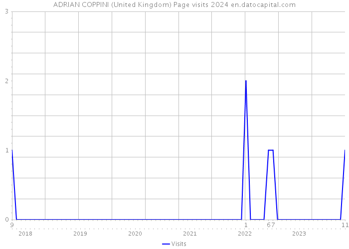 ADRIAN COPPINI (United Kingdom) Page visits 2024 