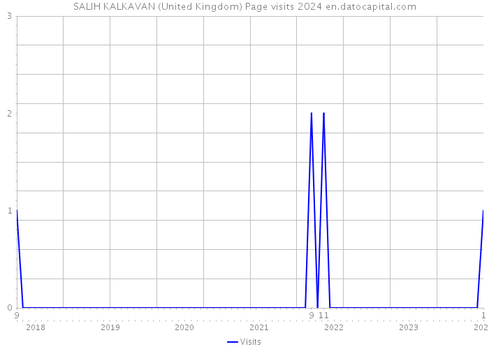 SALIH KALKAVAN (United Kingdom) Page visits 2024 