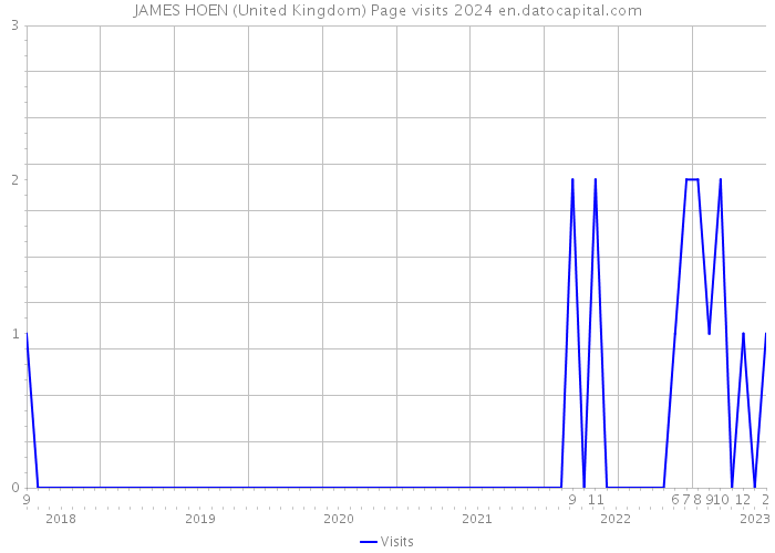 JAMES HOEN (United Kingdom) Page visits 2024 