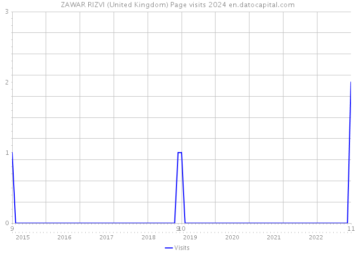 ZAWAR RIZVI (United Kingdom) Page visits 2024 