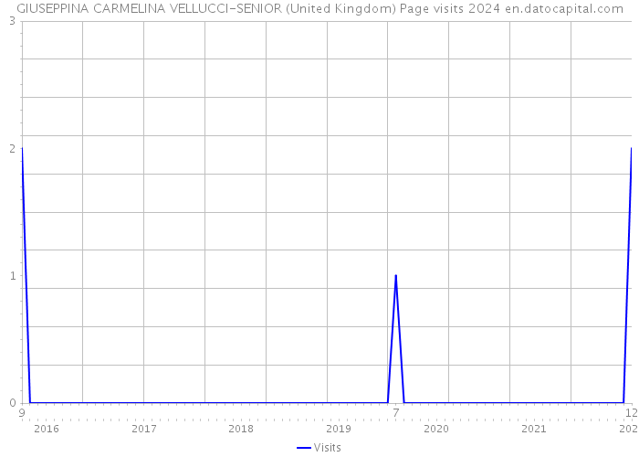 GIUSEPPINA CARMELINA VELLUCCI-SENIOR (United Kingdom) Page visits 2024 