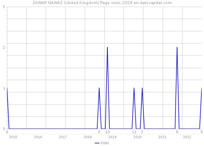 ZAWAR NAWAZ (United Kingdom) Page visits 2024 