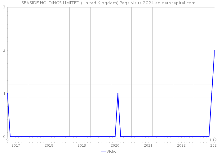 SEASIDE HOLDINGS LIMITED (United Kingdom) Page visits 2024 