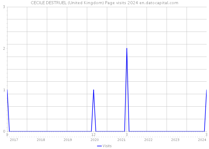 CECILE DESTRUEL (United Kingdom) Page visits 2024 