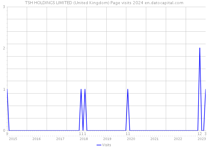 TSH HOLDINGS LIMITED (United Kingdom) Page visits 2024 