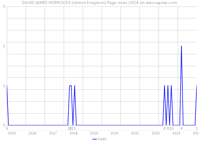DAVID JAMES HORROCKS (United Kingdom) Page visits 2024 