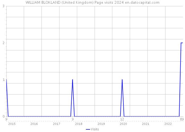 WILLIAM BLOKLAND (United Kingdom) Page visits 2024 