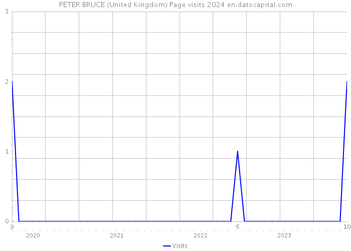 PETER BRUCE (United Kingdom) Page visits 2024 