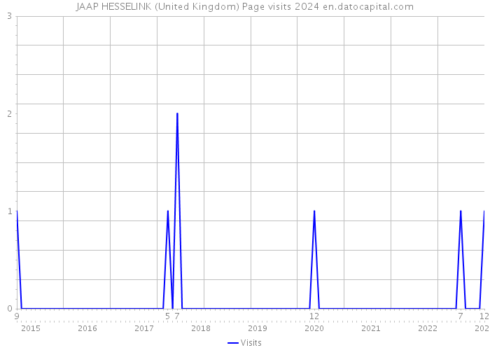 JAAP HESSELINK (United Kingdom) Page visits 2024 
