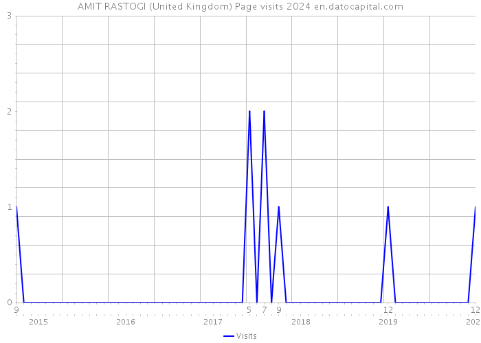 AMIT RASTOGI (United Kingdom) Page visits 2024 