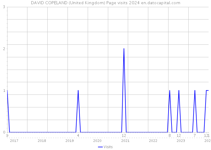 DAVID COPELAND (United Kingdom) Page visits 2024 