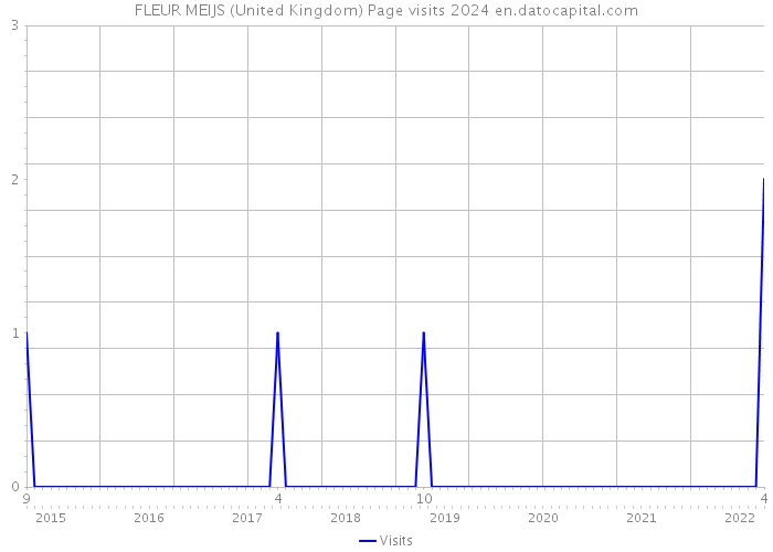 FLEUR MEIJS (United Kingdom) Page visits 2024 