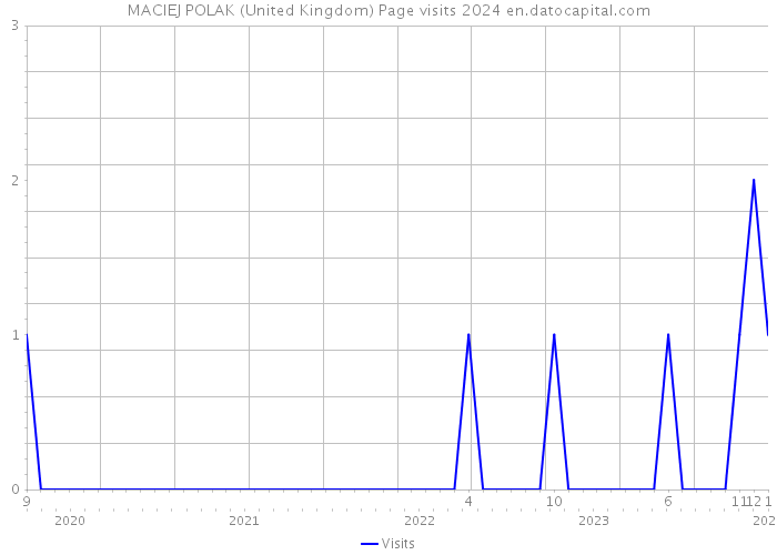 MACIEJ POLAK (United Kingdom) Page visits 2024 