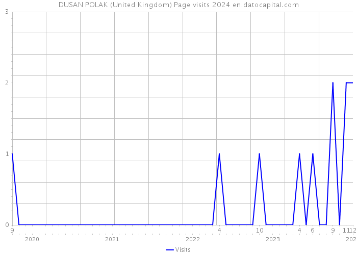 DUSAN POLAK (United Kingdom) Page visits 2024 