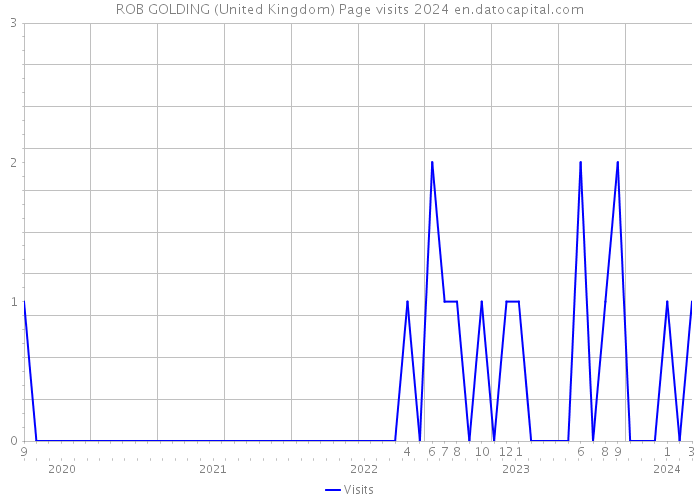 ROB GOLDING (United Kingdom) Page visits 2024 