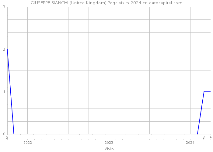 GIUSEPPE BIANCHI (United Kingdom) Page visits 2024 