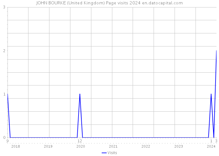 JOHN BOURKE (United Kingdom) Page visits 2024 