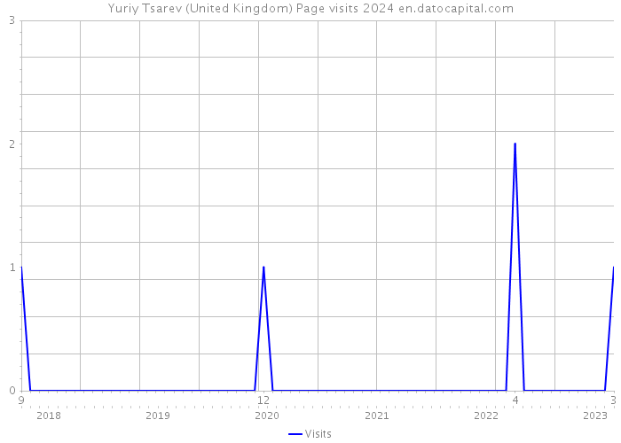 Yuriy Tsarev (United Kingdom) Page visits 2024 