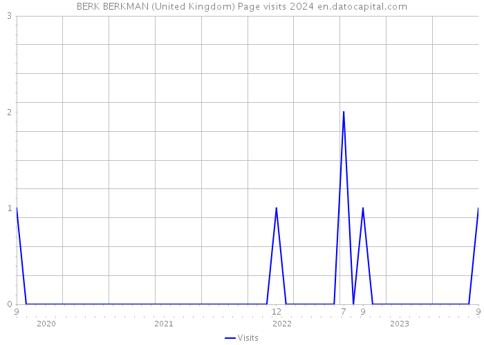 BERK BERKMAN (United Kingdom) Page visits 2024 
