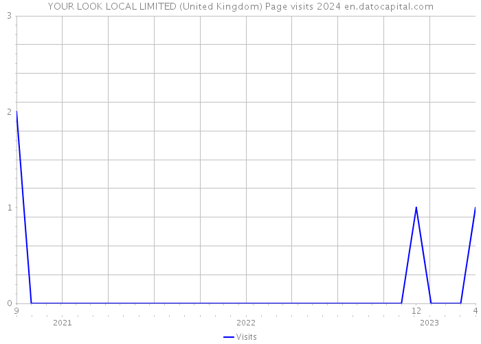 YOUR LOOK LOCAL LIMITED (United Kingdom) Page visits 2024 