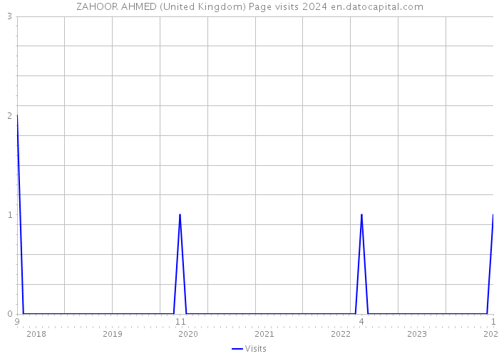 ZAHOOR AHMED (United Kingdom) Page visits 2024 