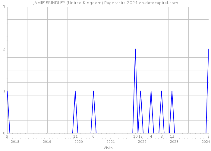 JAMIE BRINDLEY (United Kingdom) Page visits 2024 