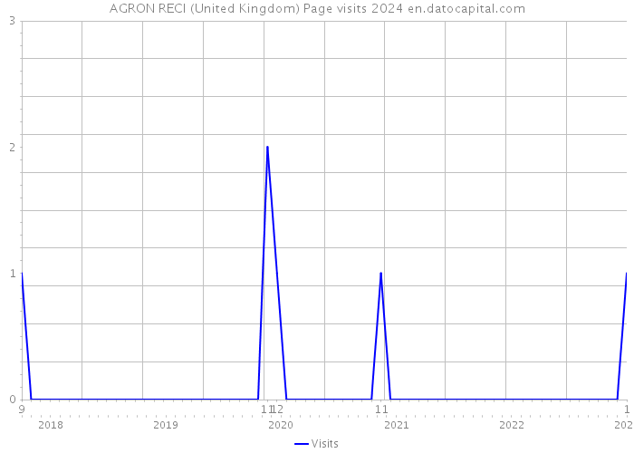 AGRON RECI (United Kingdom) Page visits 2024 