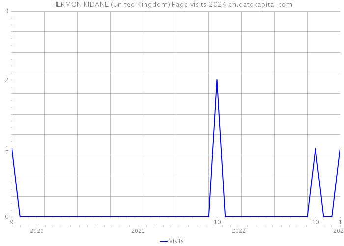 HERMON KIDANE (United Kingdom) Page visits 2024 