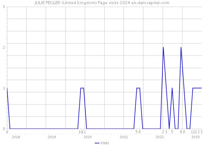 JULIE PEGLER (United Kingdom) Page visits 2024 