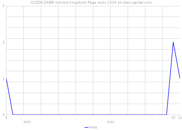 GOZDE DINER (United Kingdom) Page visits 2024 
