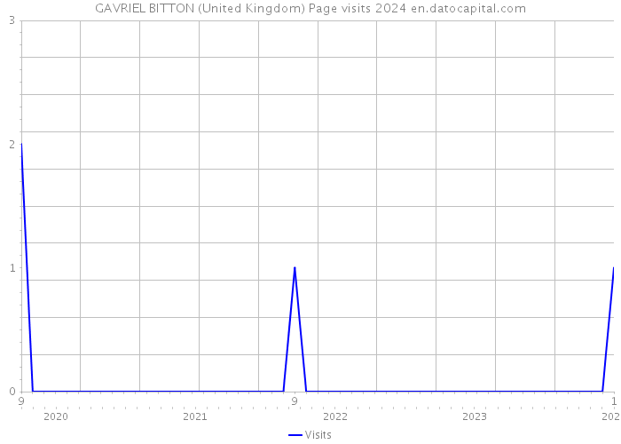 GAVRIEL BITTON (United Kingdom) Page visits 2024 