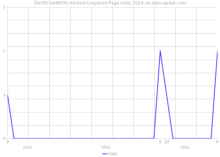 DAVID DAWSON (United Kingdom) Page visits 2024 
