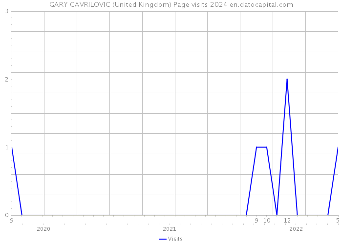 GARY GAVRILOVIC (United Kingdom) Page visits 2024 