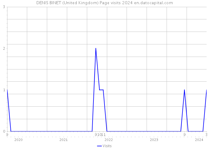 DENIS BINET (United Kingdom) Page visits 2024 