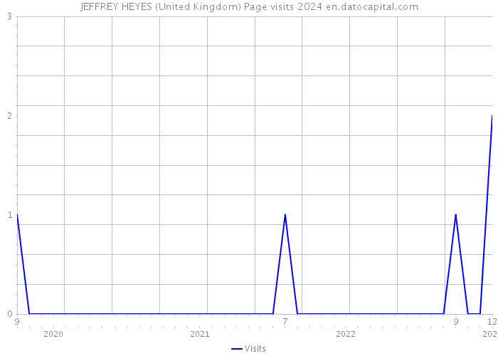 JEFFREY HEYES (United Kingdom) Page visits 2024 