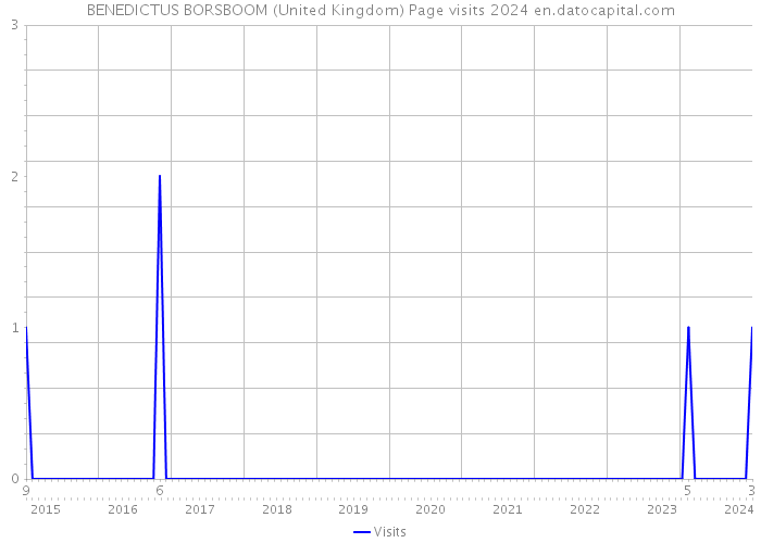 BENEDICTUS BORSBOOM (United Kingdom) Page visits 2024 