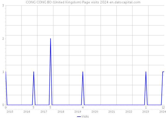 CONG CONG BO (United Kingdom) Page visits 2024 